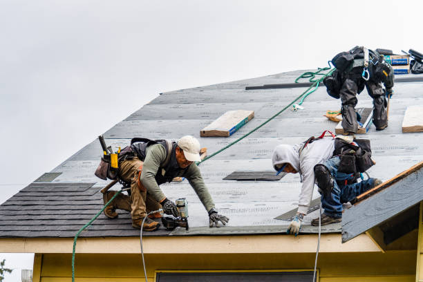 Professional Roof Replacement technician working in Six Lakes, MI